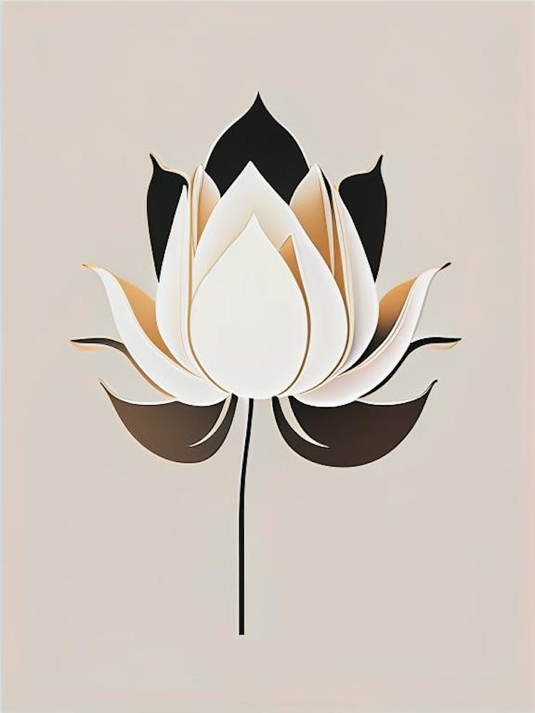 American Lotus Retro Minimal 2