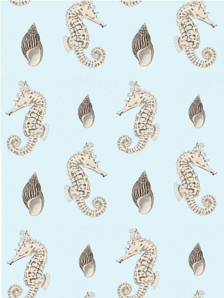 Seahorses