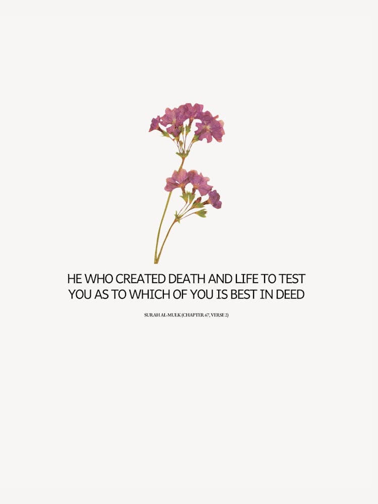Who Created Death And Life To Test You