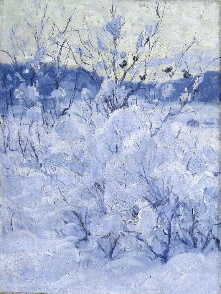 Winter Scene