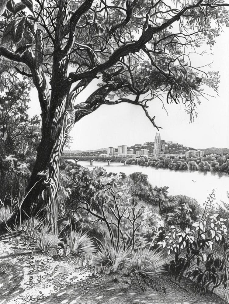 Mount Bonnell Austin Texas Black And White Drawing 2