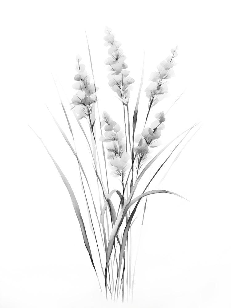 Black And White Drawing Of Grass