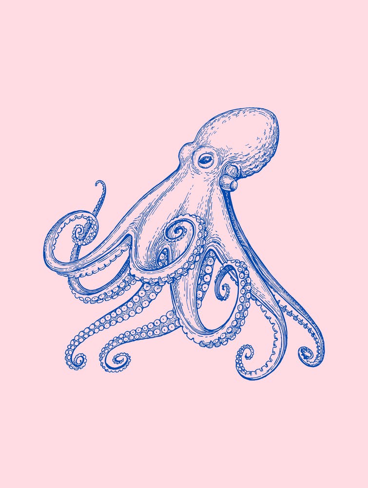 Octopus Nautical Print