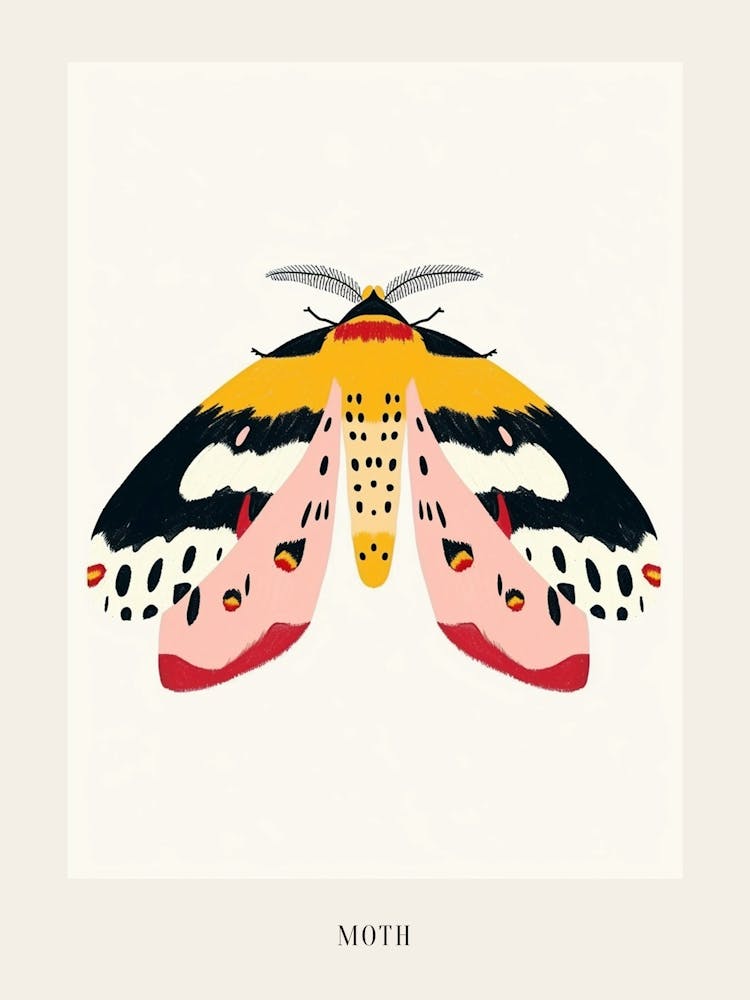 Colourful Insect Illustration Moth 5 Poster