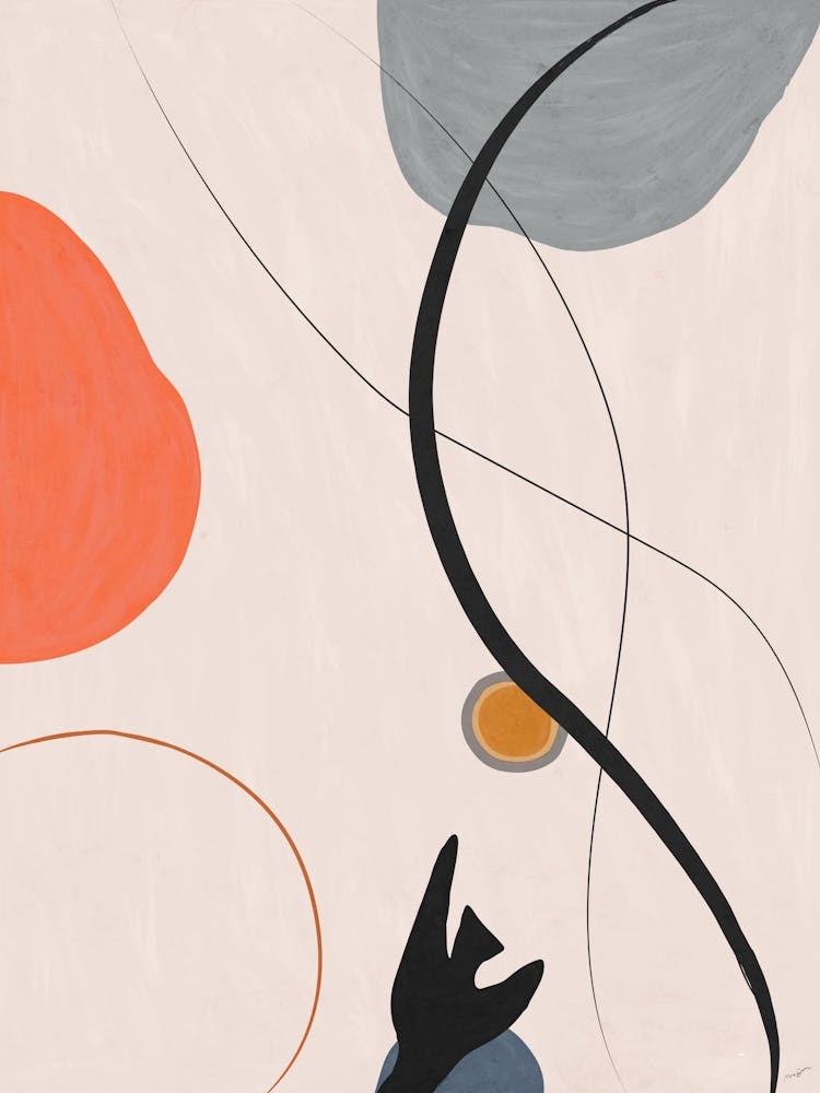 Contour in Lines and Shapes