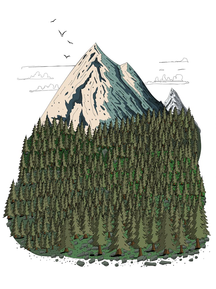 Mountain With Trees