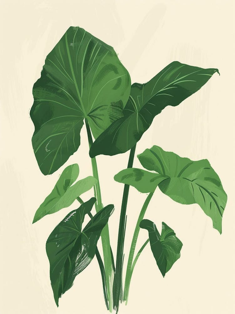 Elephant Ear Plant Minimalist Illustration 6