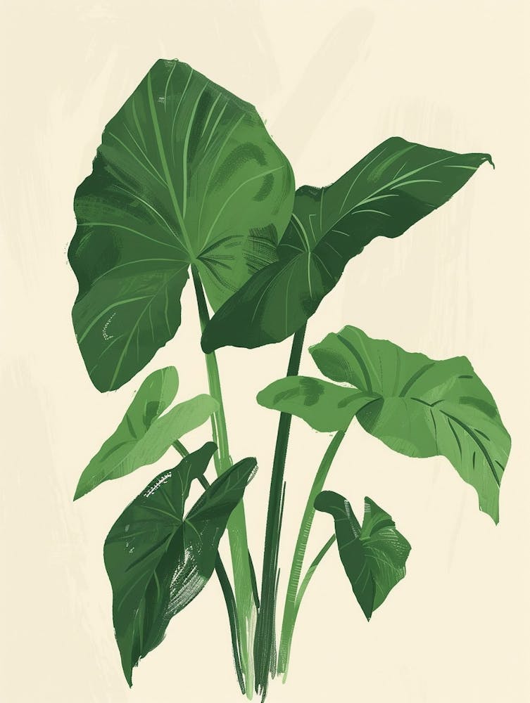 Elephant Ear Plant Minimalist Illustration 6