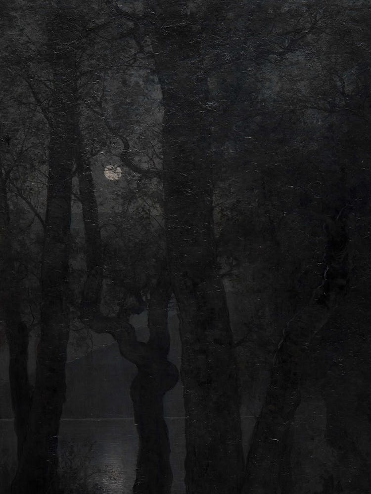 Moonlight In The Woods