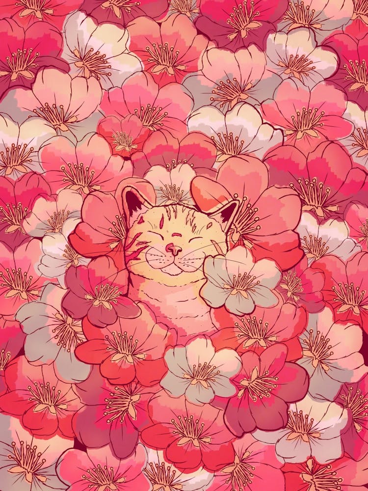 Die Kirschblütenkatze