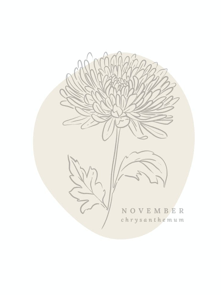November Chrysanthemum  Birth Flower | Neutral Florals