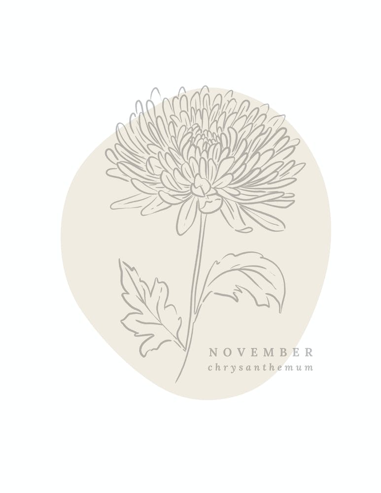 November Chrysanthemum  Birth Flower | Neutral Florals