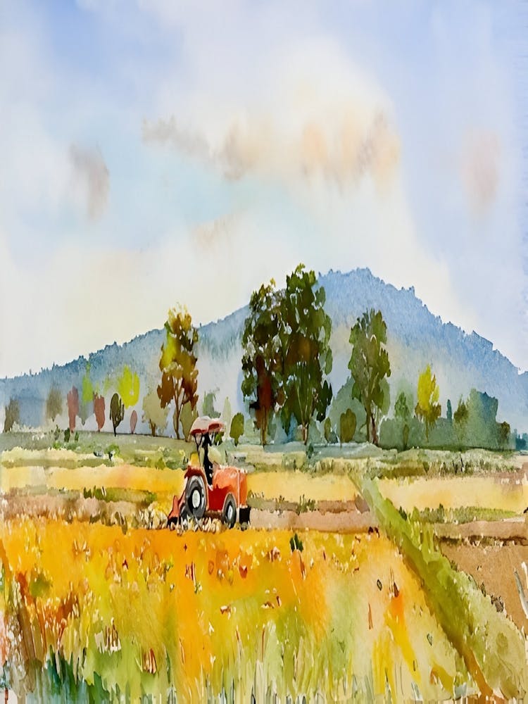 Tractor In A Field