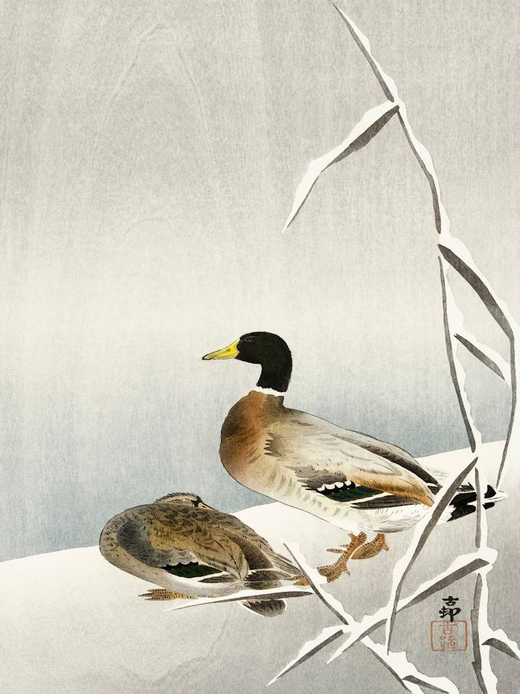 Two Ducks On Snowy Reed (1900 1930), Ohara Koson