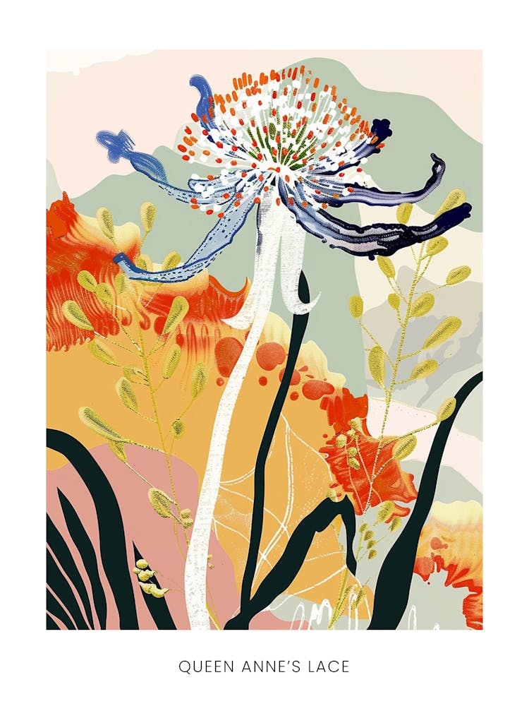 Colourful Flower Illustration Poster Queen Annes Lace 4