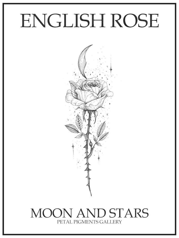 English Rose Moon And Stars Line Drawing 4 Poster