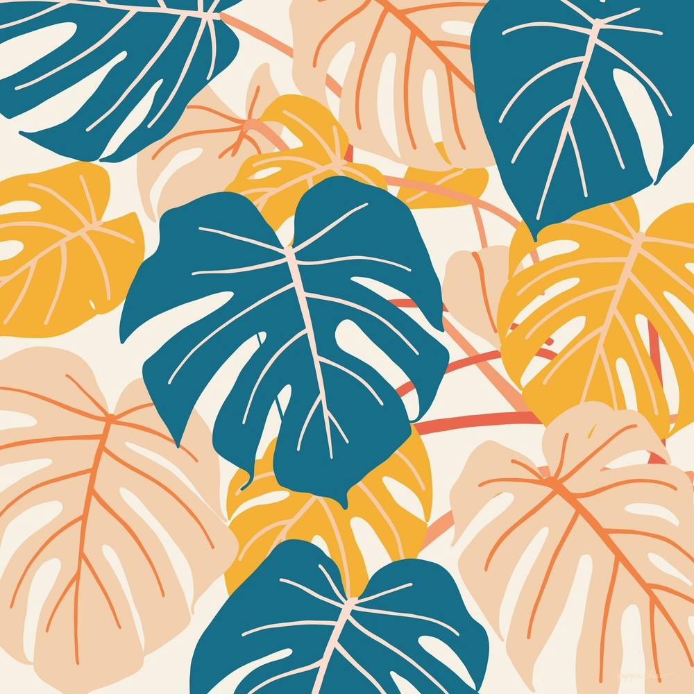 Swiss Cheese Plant Square