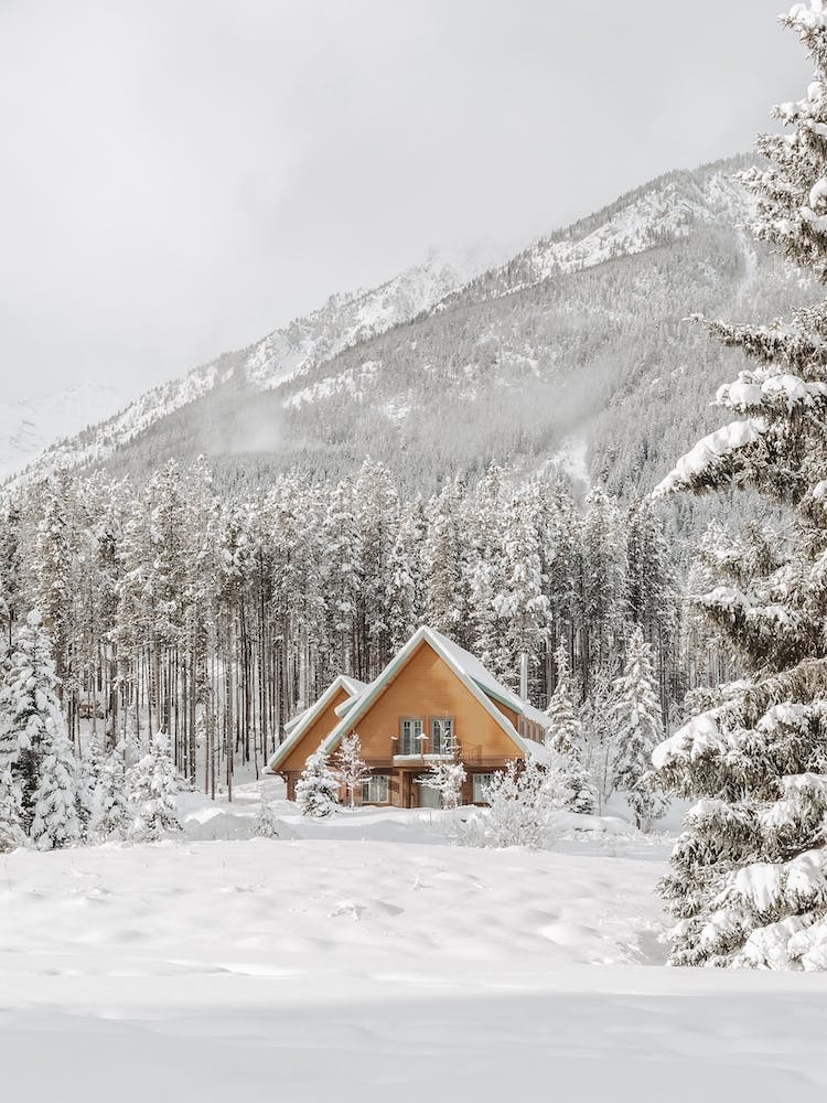 Cabane d'Hiver Solitaire