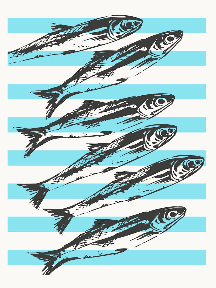 Sardinen 8