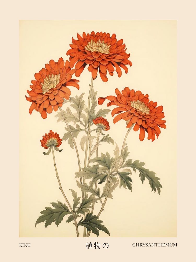 Kiku Chrysanthemum 3 Vintage Japanese Botanical Poster