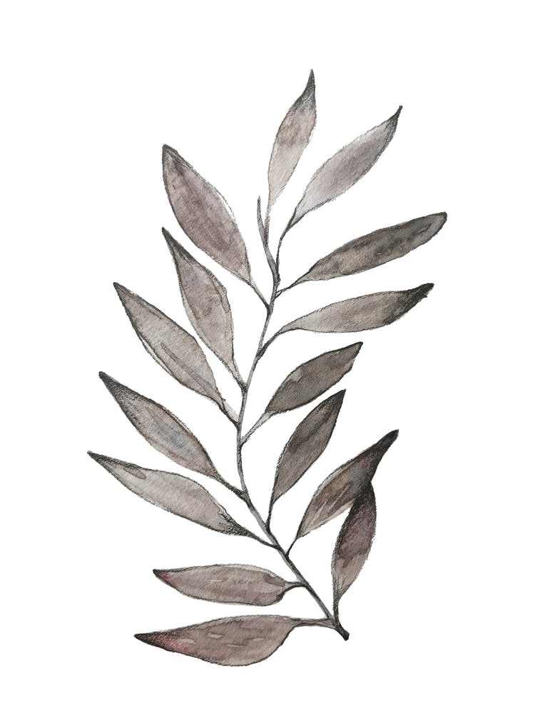 Brown Leaves