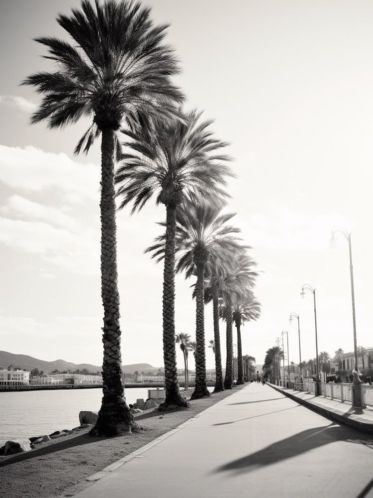 Cannes, France, Black And White Old Photo 3