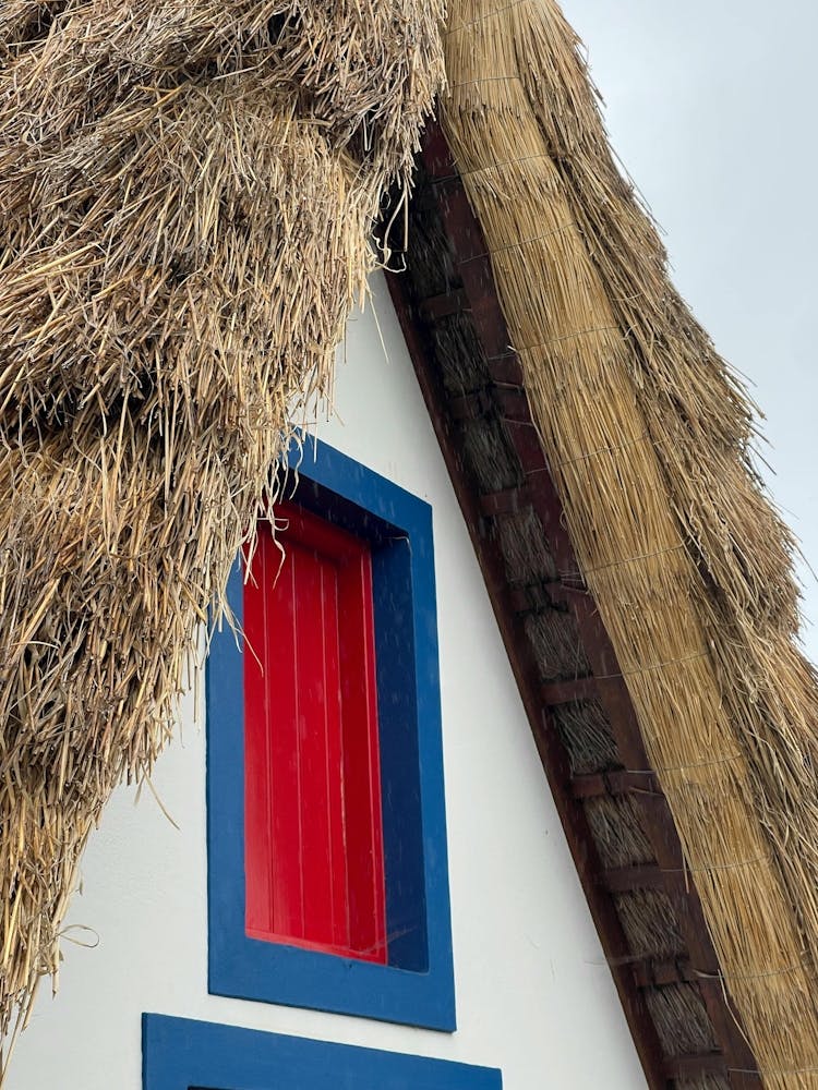 Thatched Roof