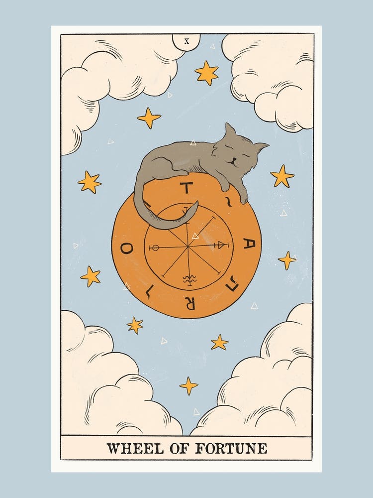 Cat Wheel Of Fortune