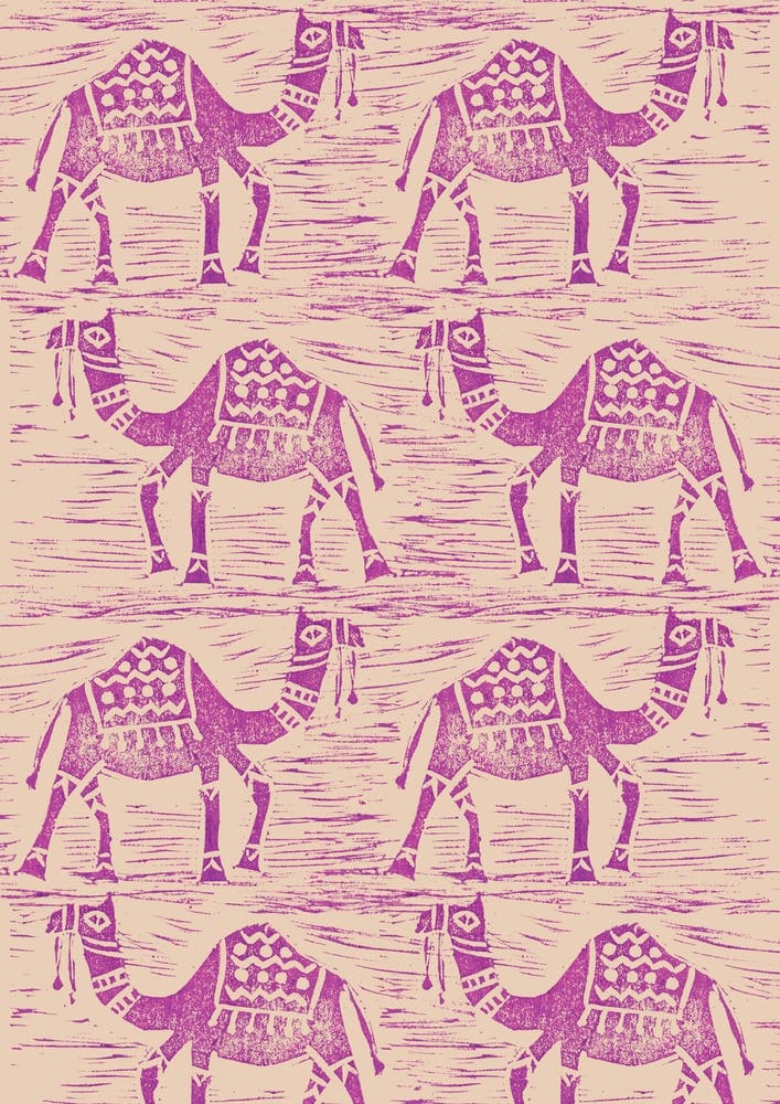 Camels And Dunes