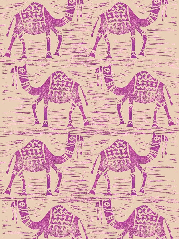 Camels And Dunes