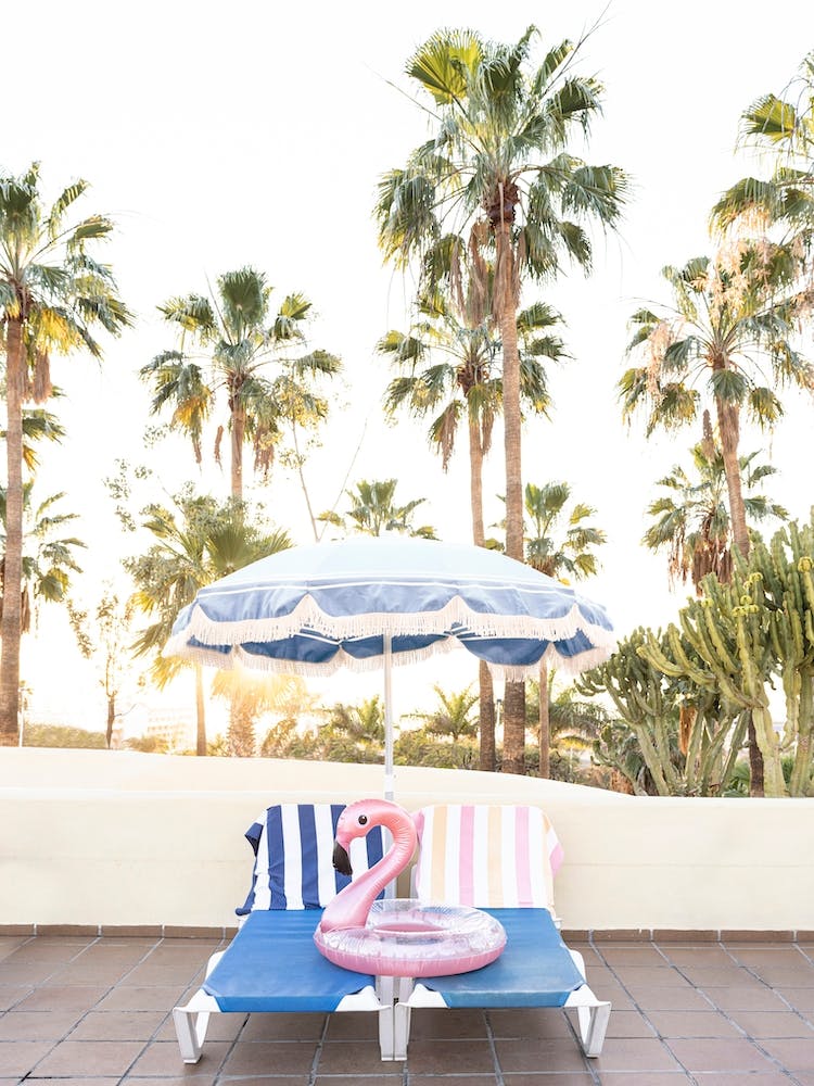 Poolside Flamingo