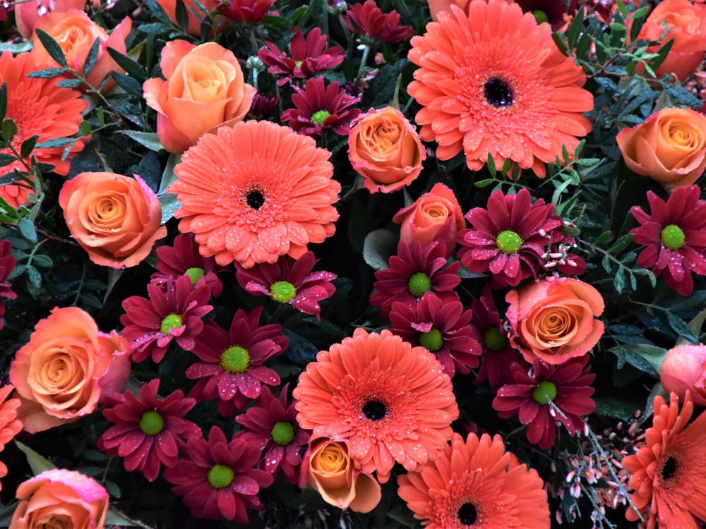 Oranges Blumenarrangement