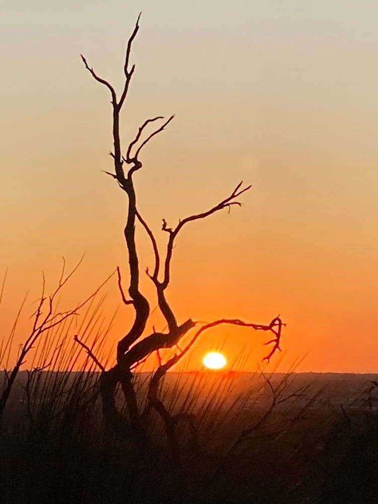 Sunset In Perth