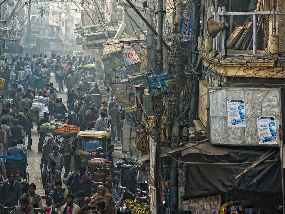 In Pursuit Of A Living