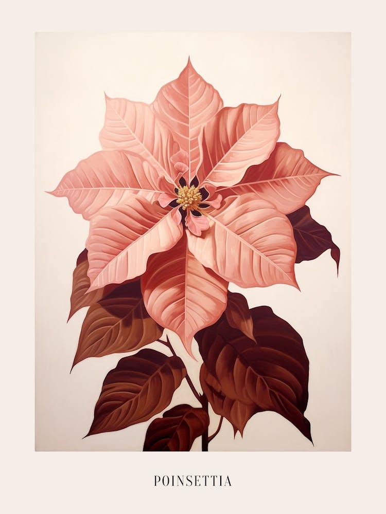 Florale Illustration Weihnachtsstern 3 Poster