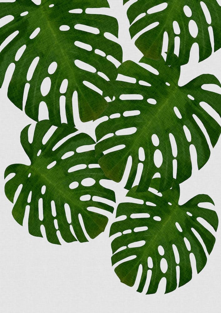Monstera Leaf I