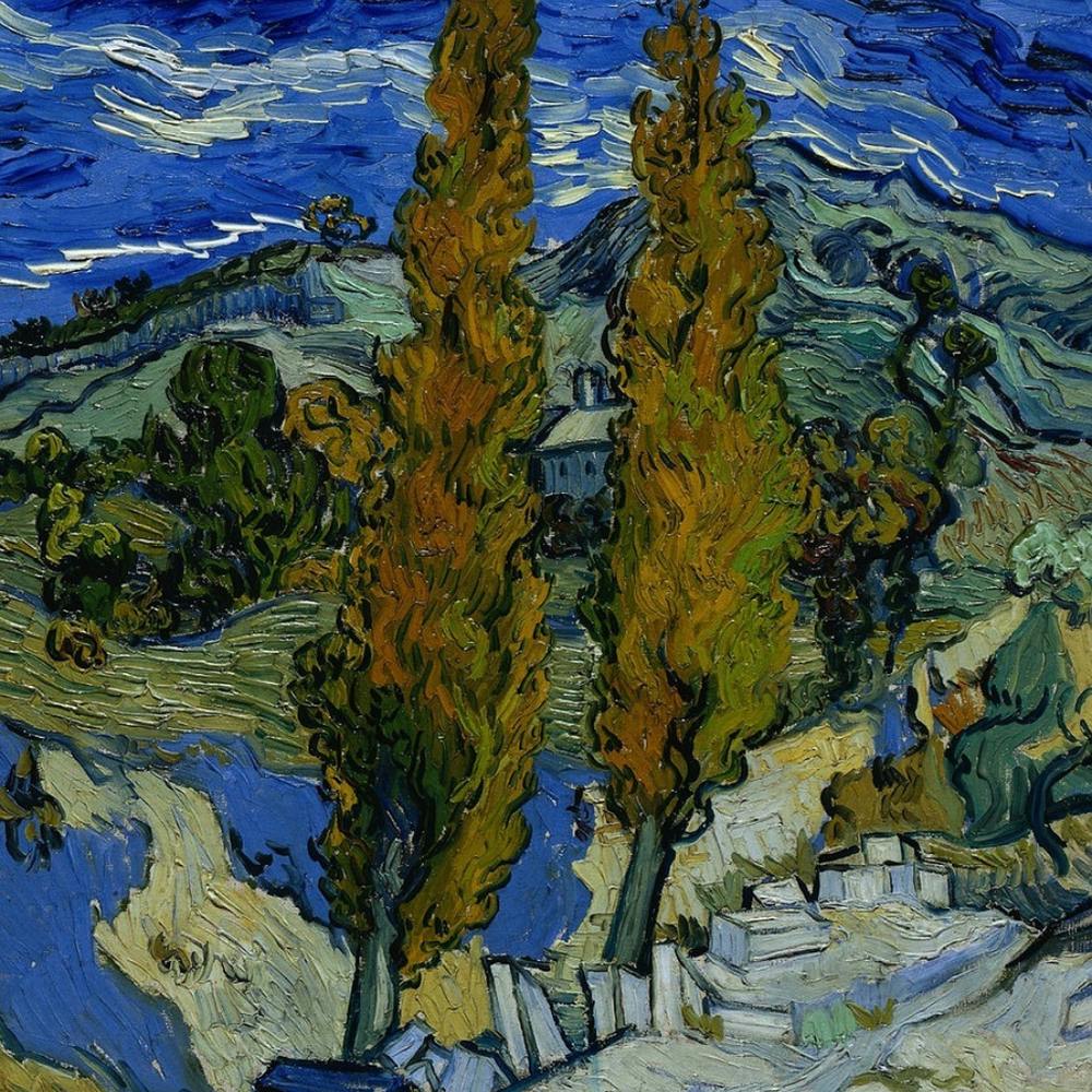 Two Elm Trees