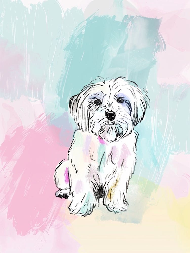 Havanese Dog Pastel Line Painting 1