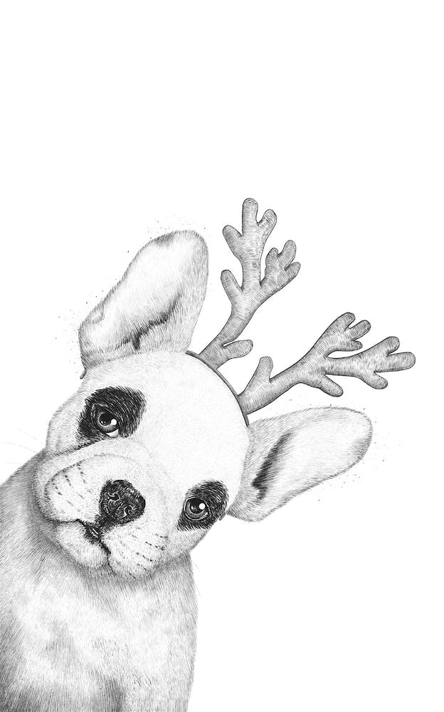 Christmas French Bulldog