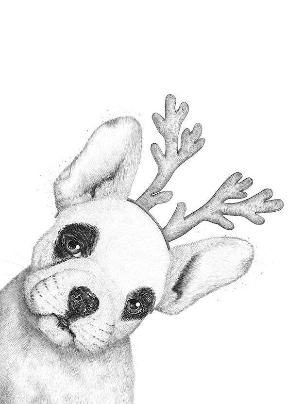 Christmas French Bulldog