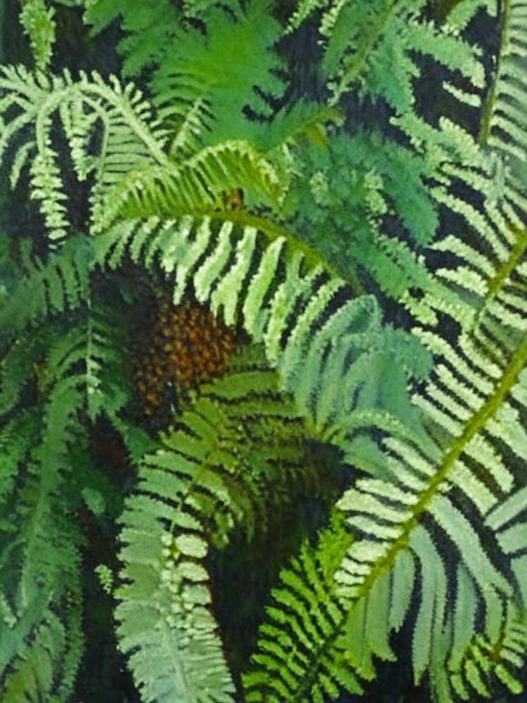 Lace Fern Cézanne Style