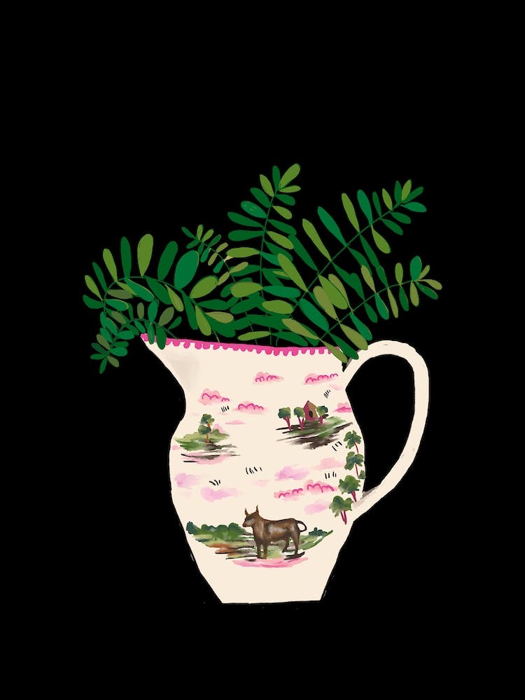 Creamware Jug & Ferns