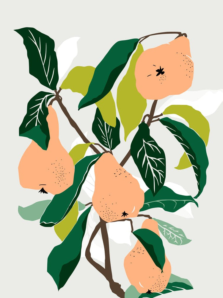 Orange Pears