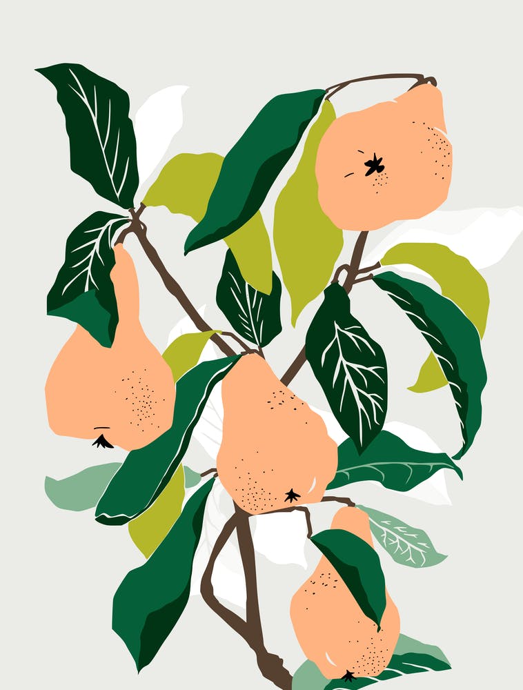 Orange Pears