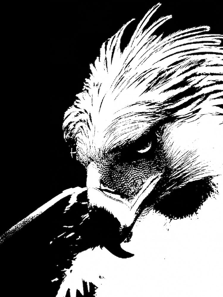Philippine Eagle Black and White Silhouette