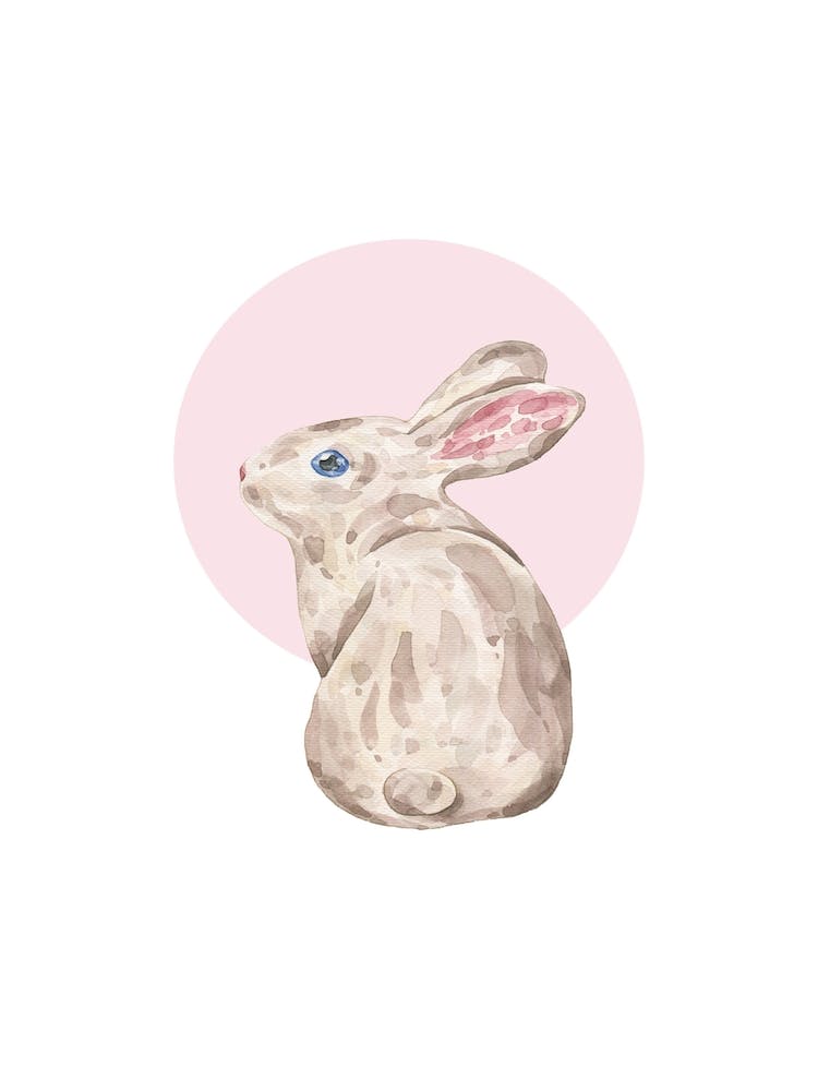 Watercolour Rabbit