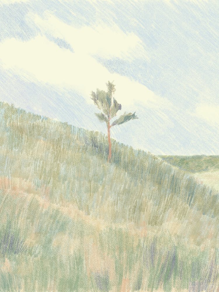 Lone Tree