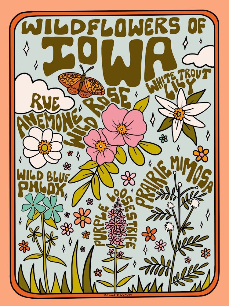 Iowa Wildflowers