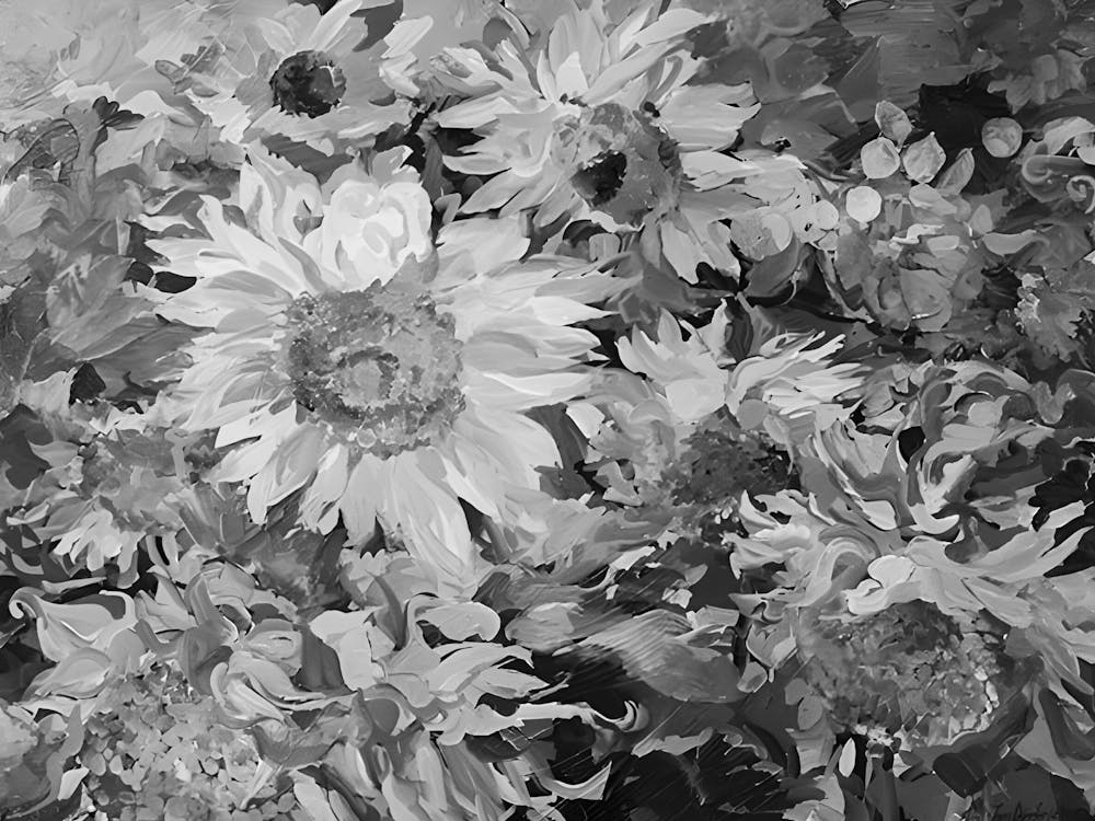 Schwarz-Weiße Sonnenblumen