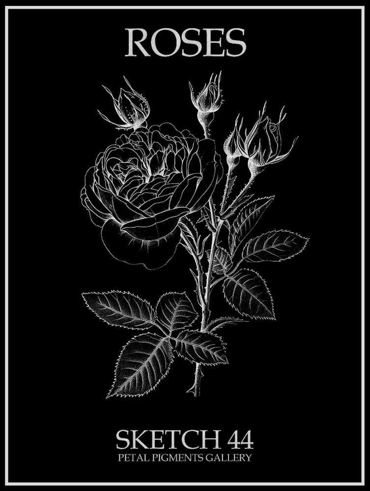 Roses Sketch 44 Poster Inverted